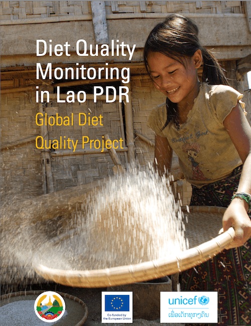 Diet Quality Monitoring in Lao PDR