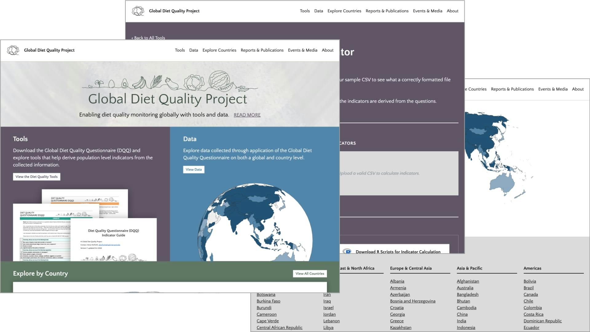 Ag2Nut Webinar: Diet Data for 56 Countries + Tools